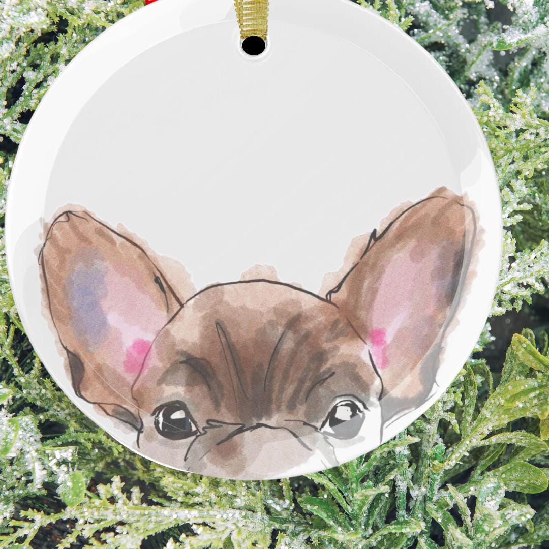 Custom Personalized Pet Ornament